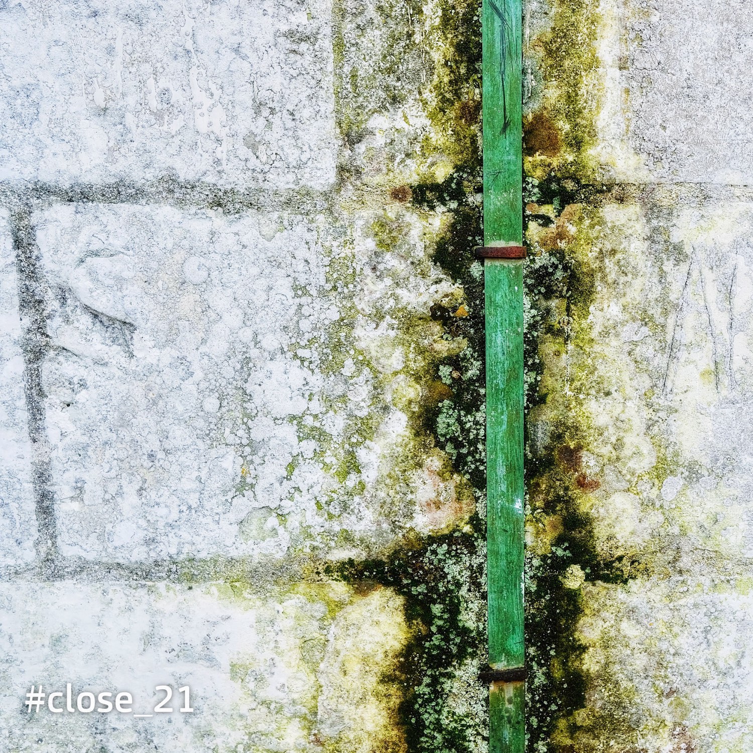 %23fehlfarben 8