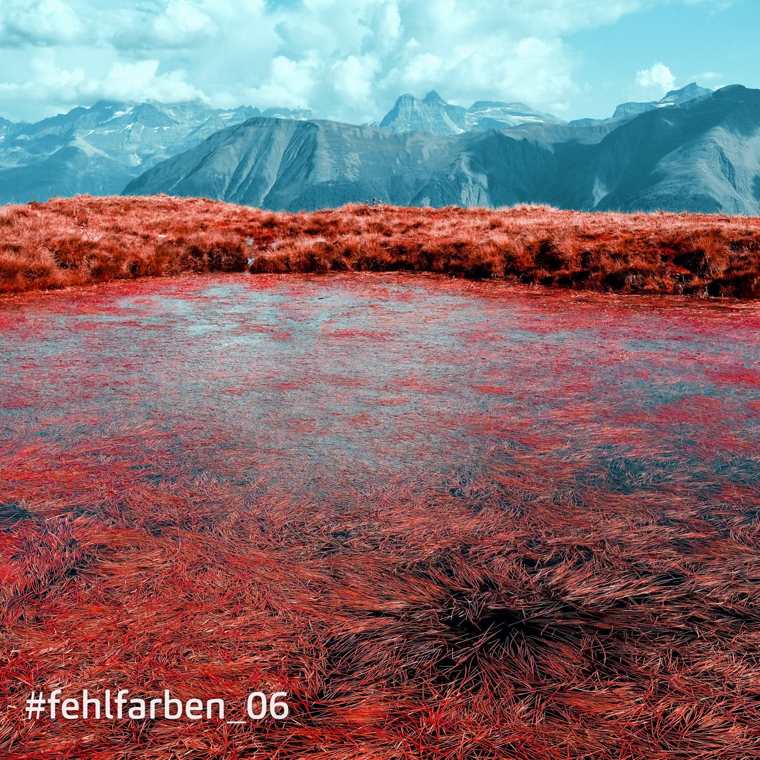 %23fehlfarben 6