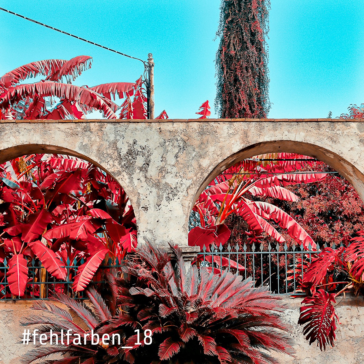 %23fehlfarben 8