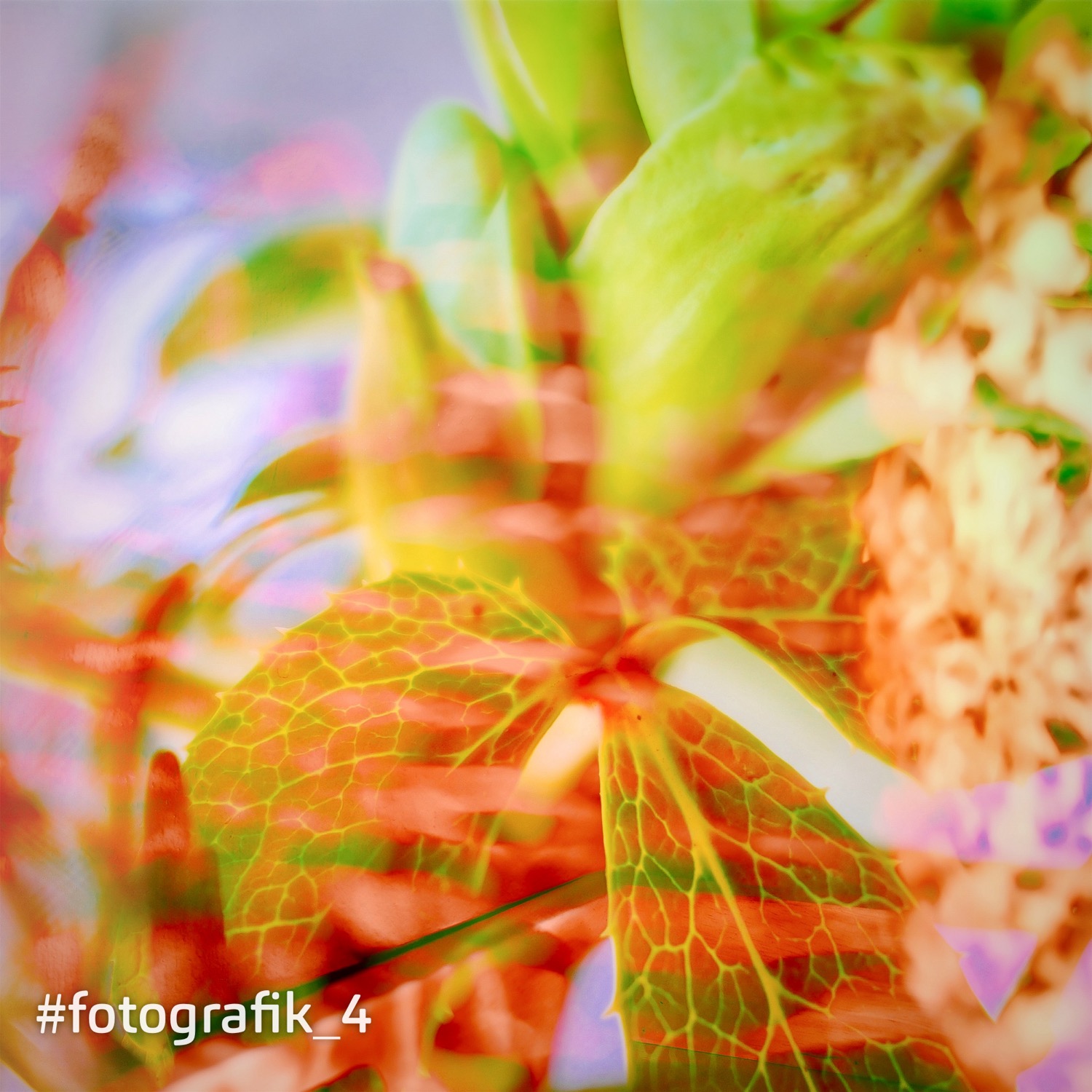 %23fehlfarben 4