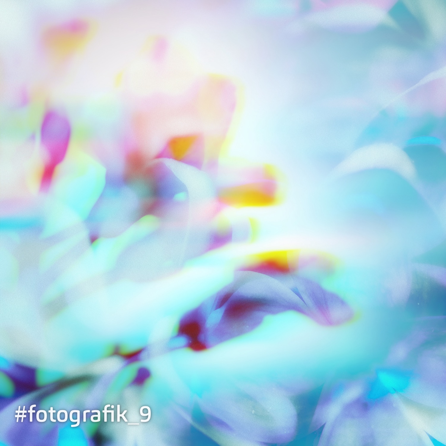 %23fehlfarben 8